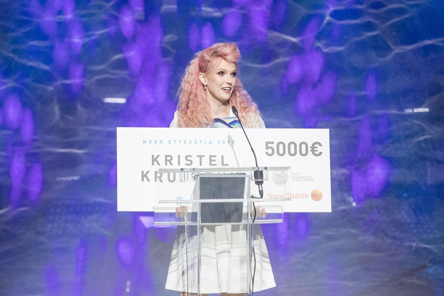 2017. aastal sai noore ettevõtja preemia Kristel Kruustük osaühingust Testlio.