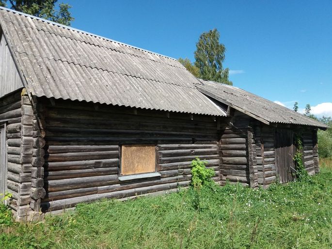 Просто как упасть с бревна