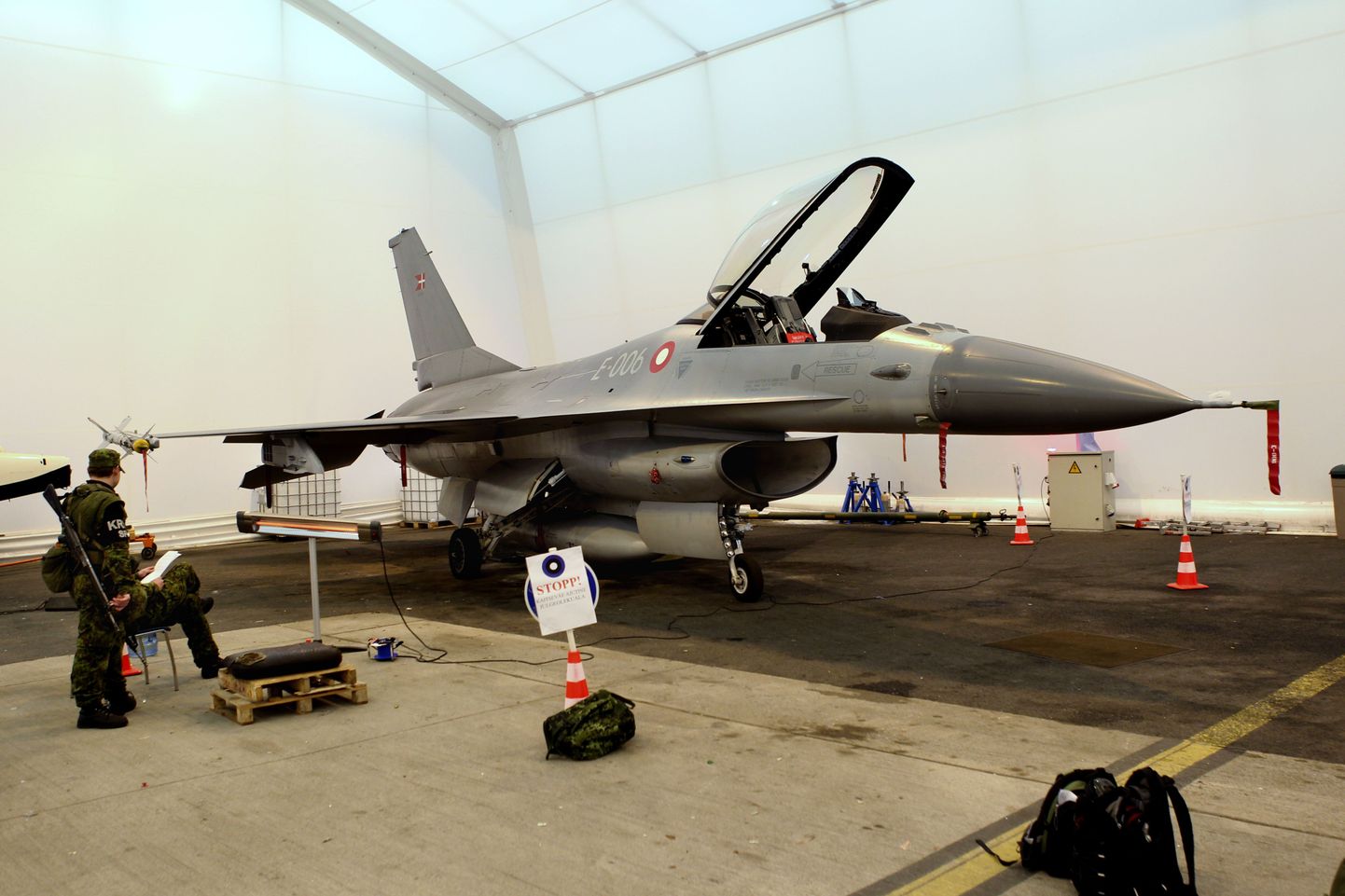 Üks kahest NATO õhuturbehävitajast F-16 põrkas treeninglennul olles Eesti õhuruumis kokku linnuga. Lennuki mootor sai õnnetuses viga, mistõttu oli Taani õhujõudude hävitaja sunnitud jääma Tallinna.