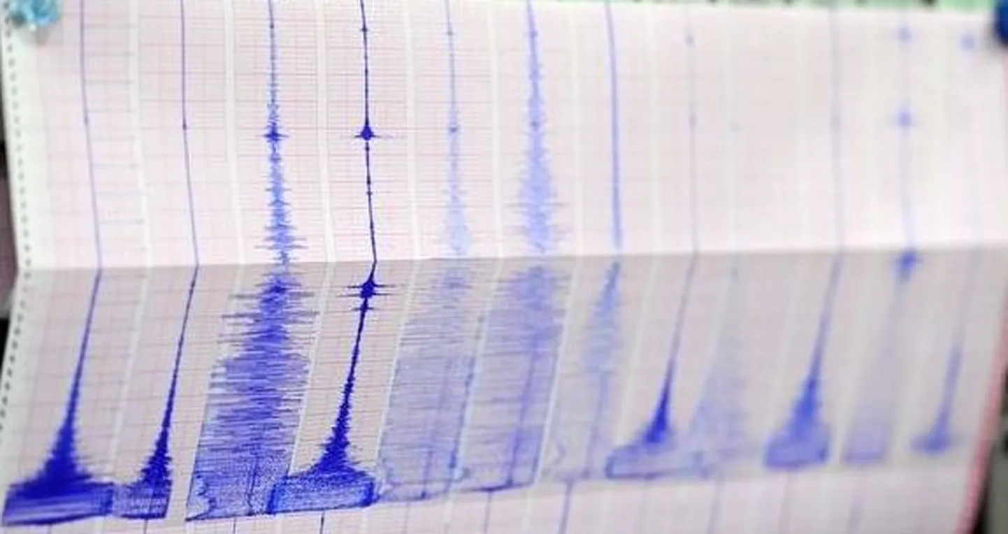 Seismoloogilist tegevust näitav graafik