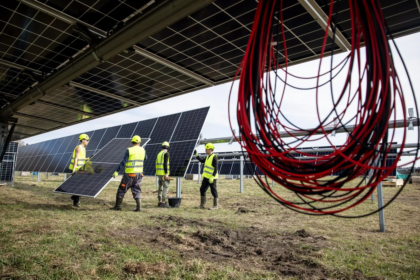 Sunly päikesepark Tallinna-Haapsalu maantee ääres Ristil ühendab energiatootmises kolm tehnoloogiat. FOTOd: Sander Ilvest