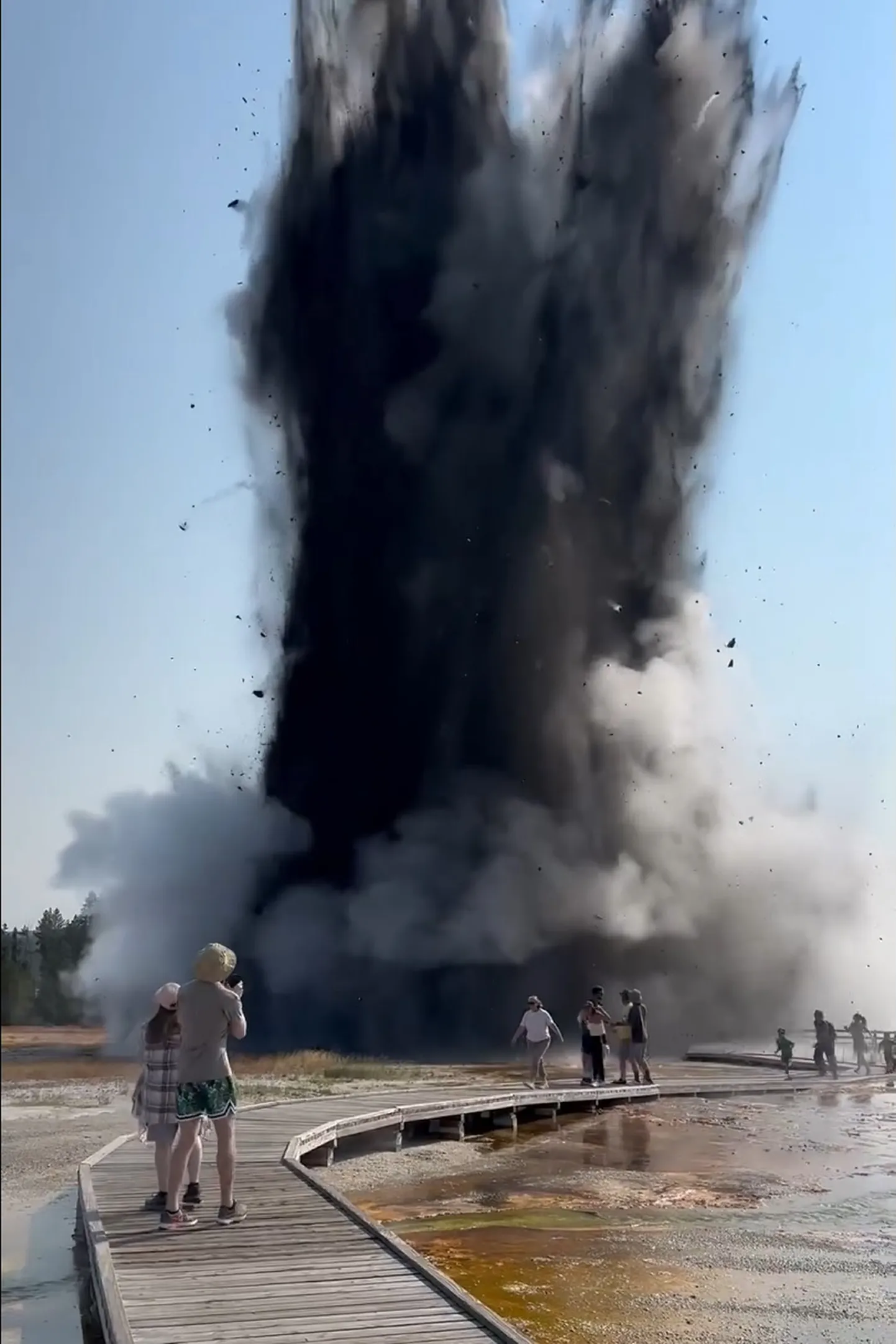 Artikli foto