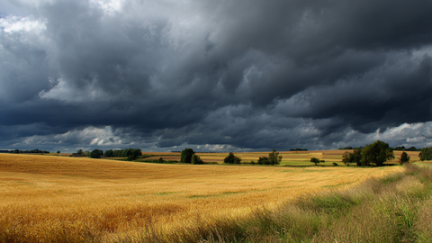 V sredo je velik del Latvije prizadel močan dež in nevihte