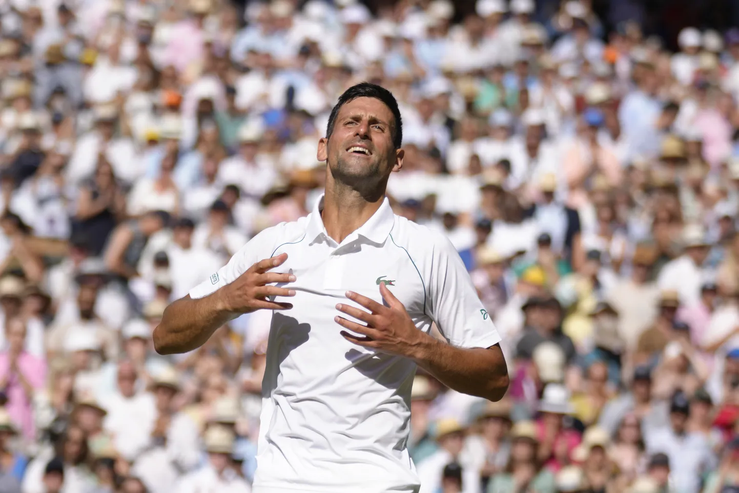Novak Djokovic.