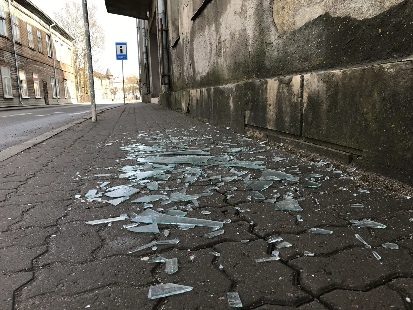 Vandalism
2. aprillil tehtud fotod Sepa ja Raja t