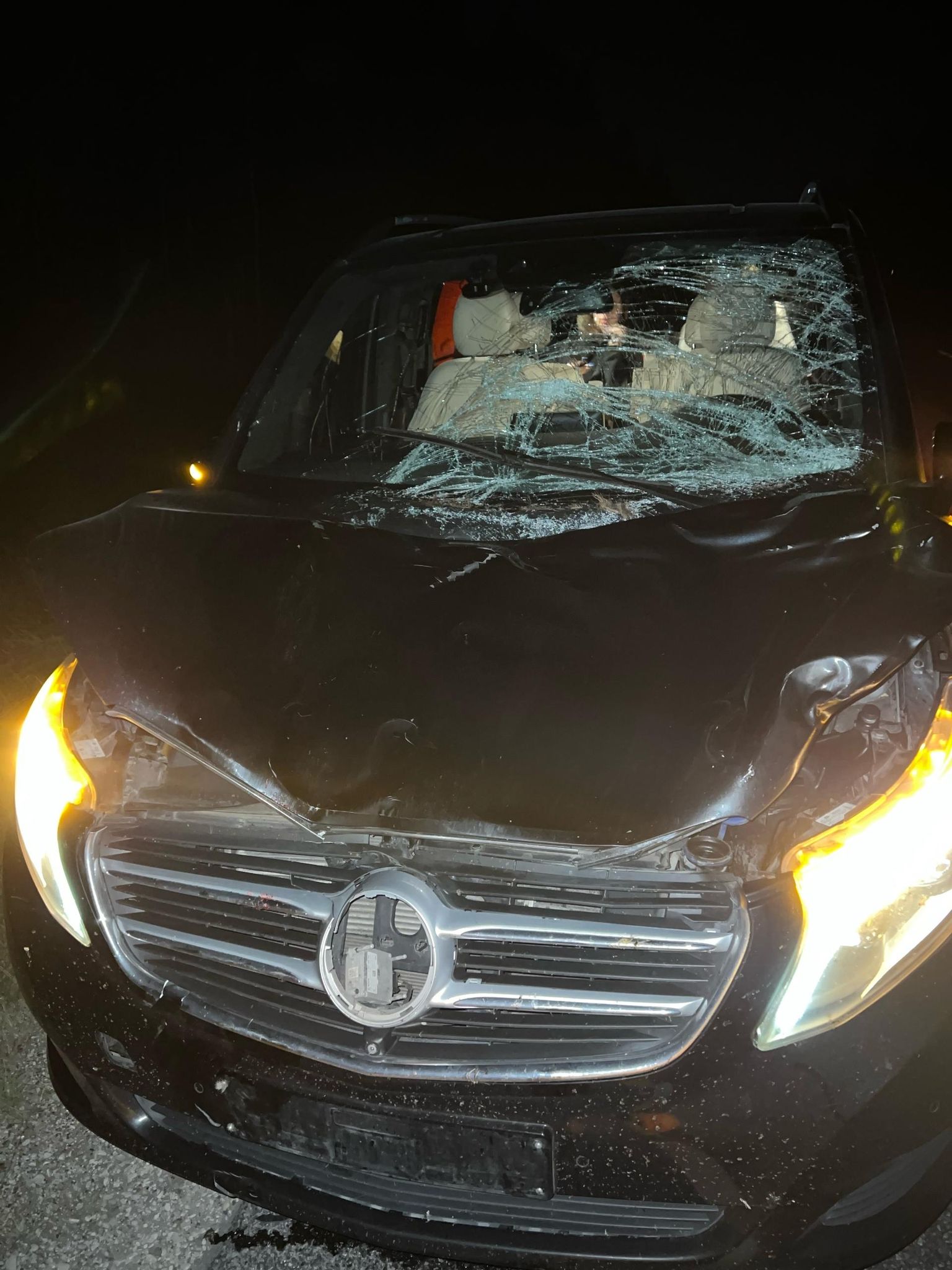 Животное упало на лобовое стекло автомобиля. Машина была повреждена, дизельное топливо пролилось на дорогу, но помощь семья не получила.