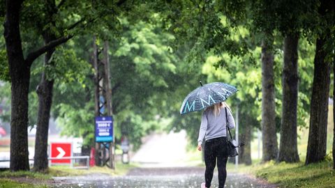 Lähipäevil tuleb kuni 29 kraadi sooja, sajab hoovihma