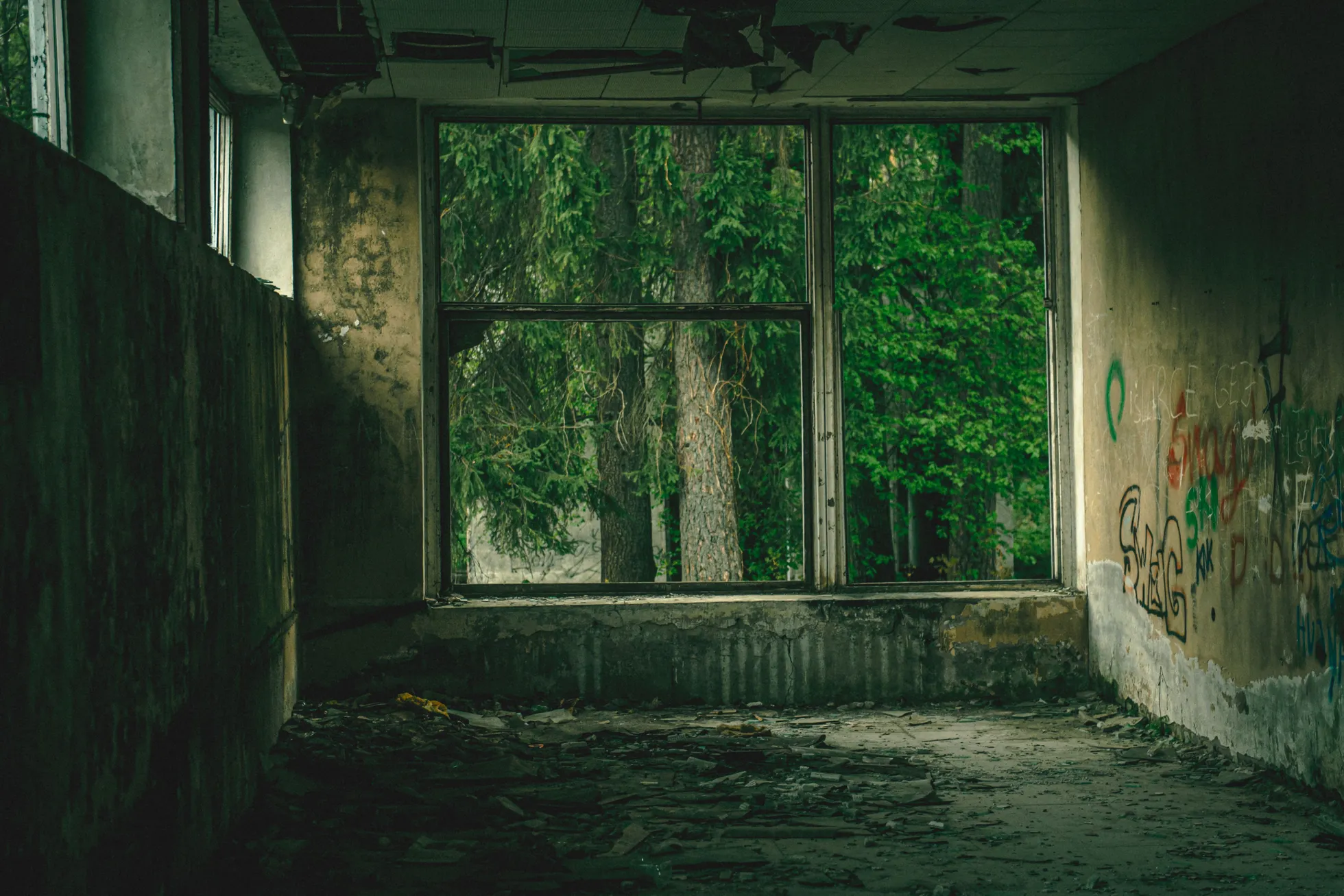 Фото статьи