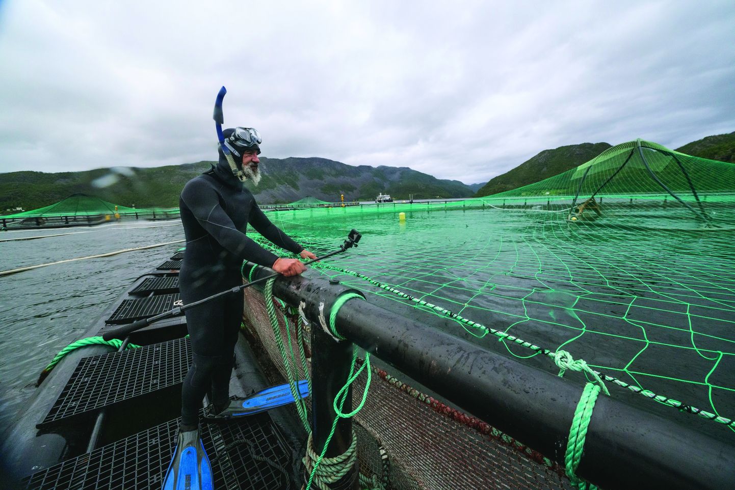 Rootsi ajakirjanik Mikael Frödin uurimas Norras Altas asuvat Grieg Seafood lõhekasvandust
