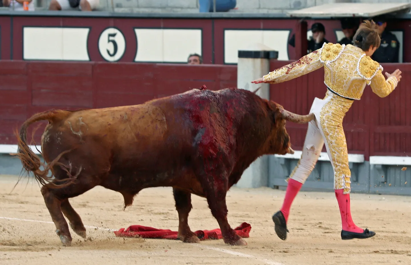 Prantsuse matadoor Juan Leal sai raskelt vigastada
