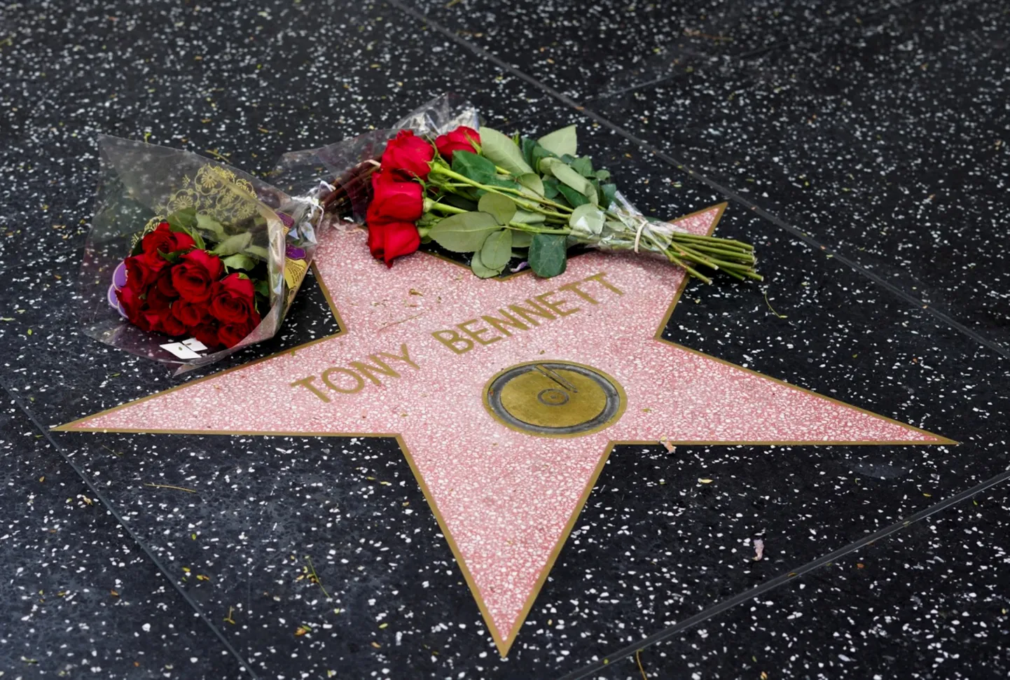 Lilled asetati legendaarse muusiku Tony Bennetti auks tema Hollywoodi tähele.