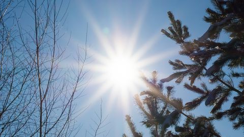 Зимнее солнцестояние 21 декабря: 5 способов привлечь удачу и благополучие