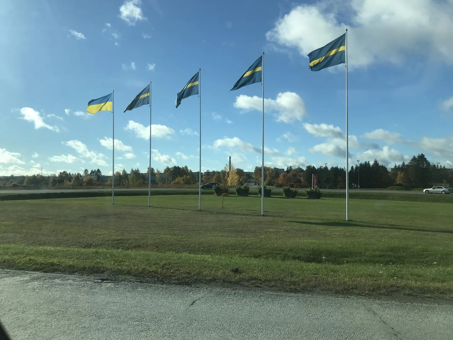Tuleviku ja Heina tänava ringtee lipuväljak.