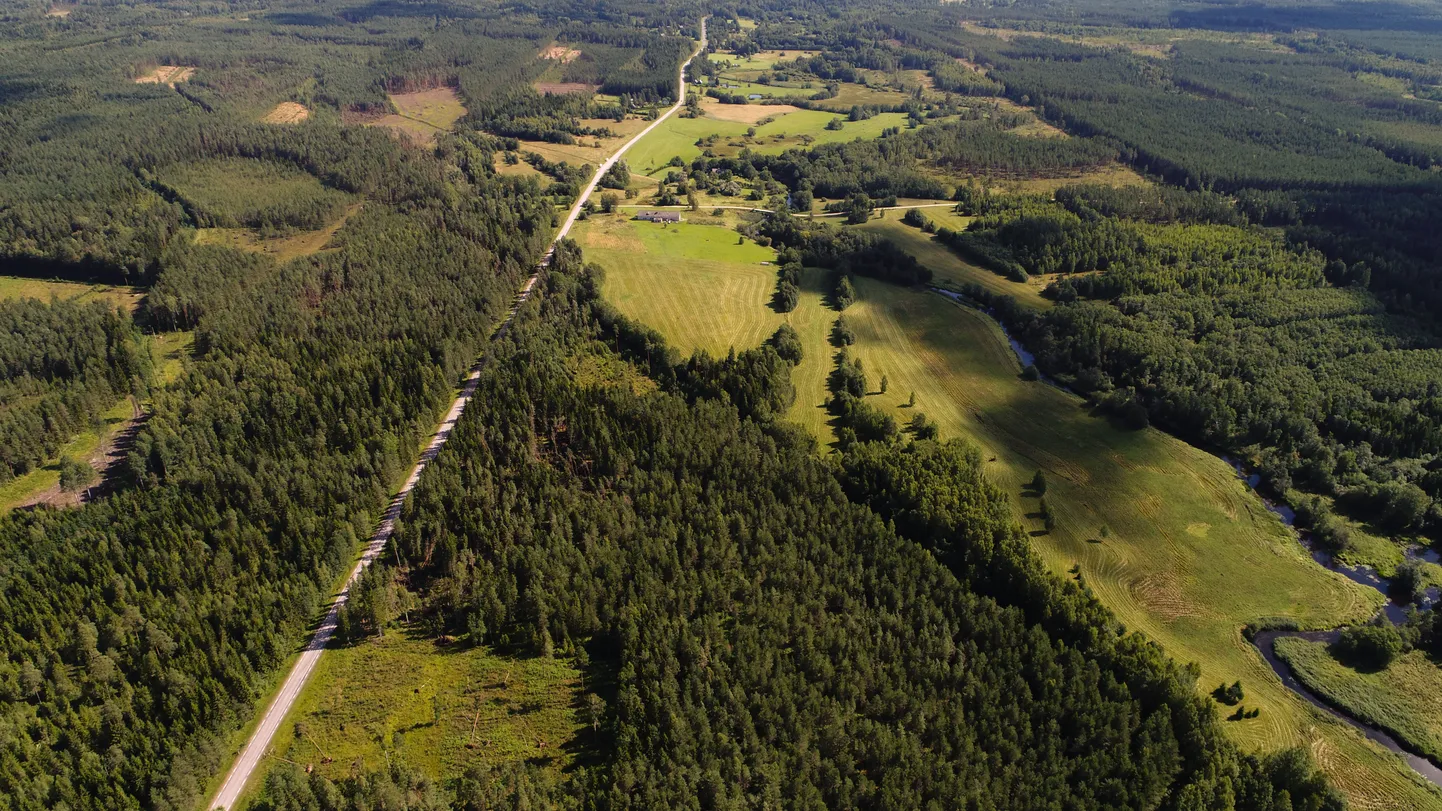 Metsaregistri pidamise eesmärk on koguda ja säilitada andmeid metsa paiknemise, pindala, tagavara, kasutamise ja seisundi kohta.