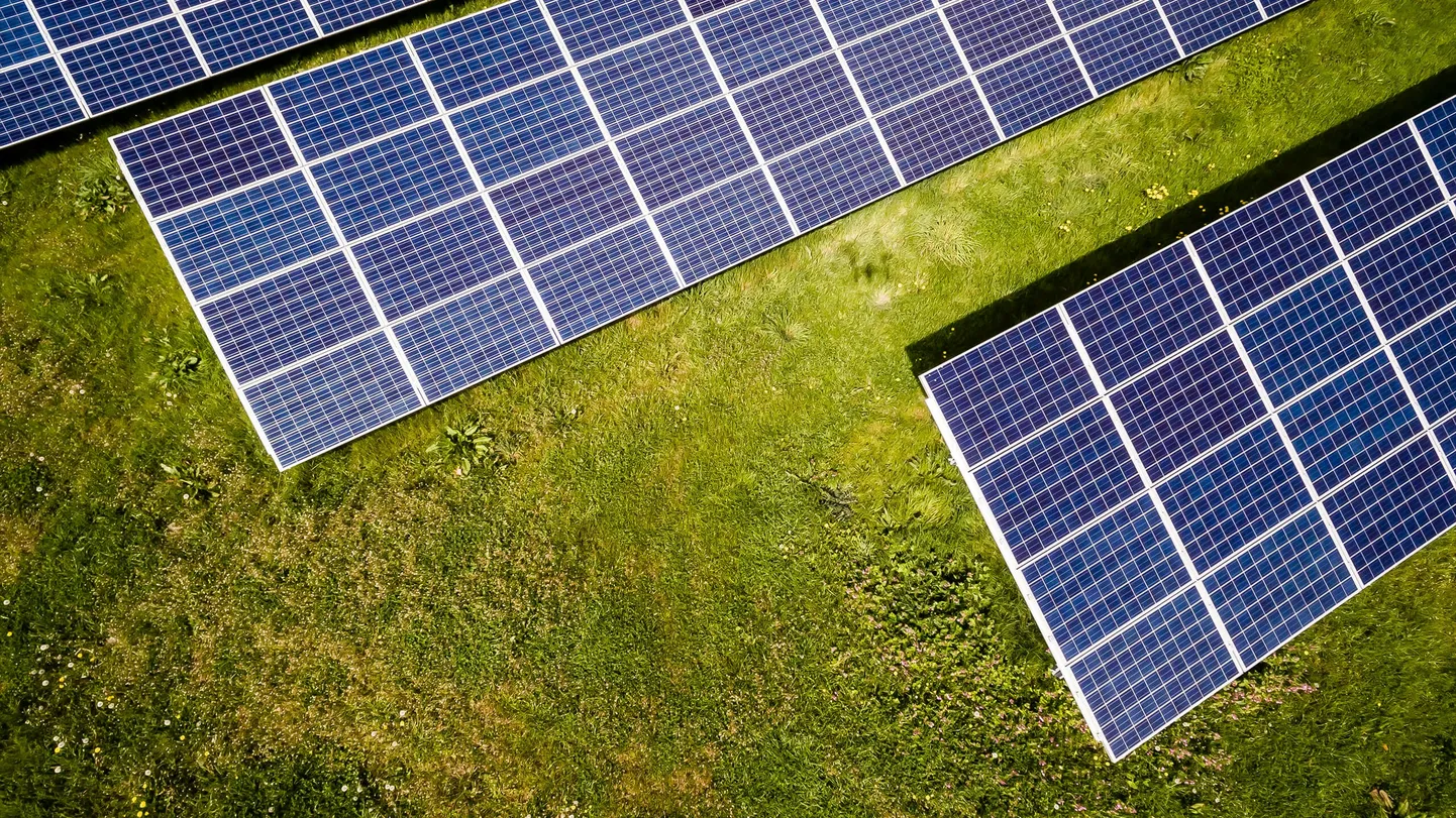 Jaapani teadlased on välja töötanud «Leaf LSC» mudeli, mis parandab valguse kogumist ja edastamist fotogalvaanilistele (photovoltaic ehk PV) elementidele.