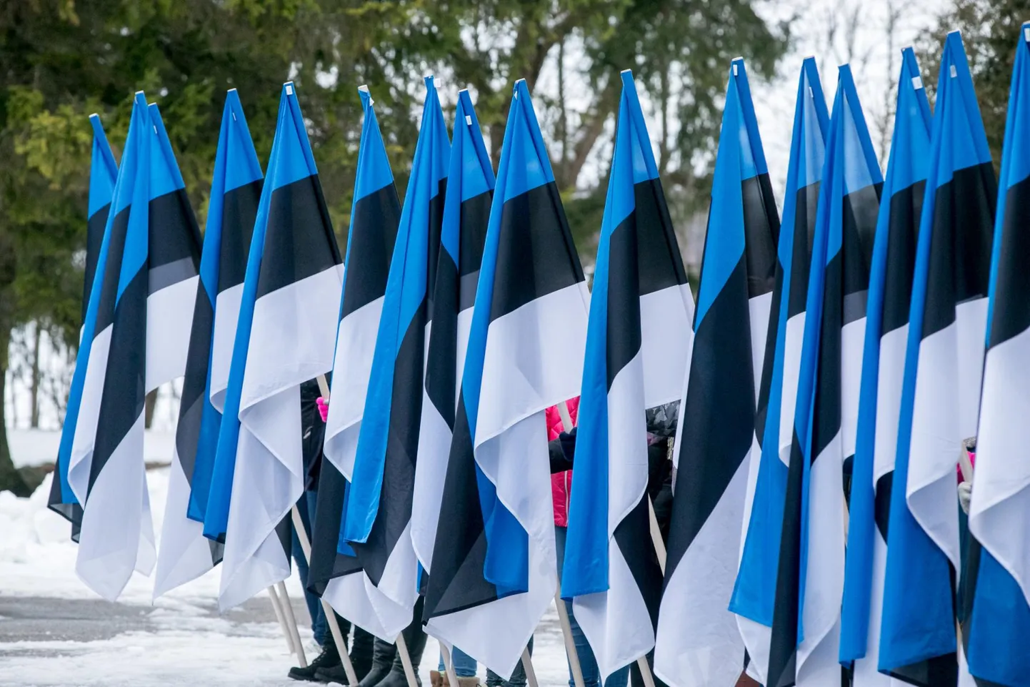 Tartu rahulepingu läbirääkimiste algust meenutatakse kolmapäeva hommikupoolikul Sindi gümnaasiumi korraldatud üritusel kogunemisega Julius Friedrich Seljamaa monumendi juures.