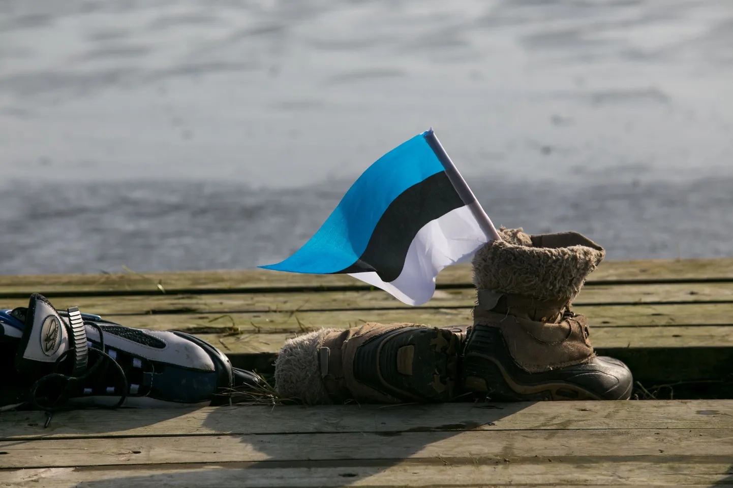 Eesti lipp.