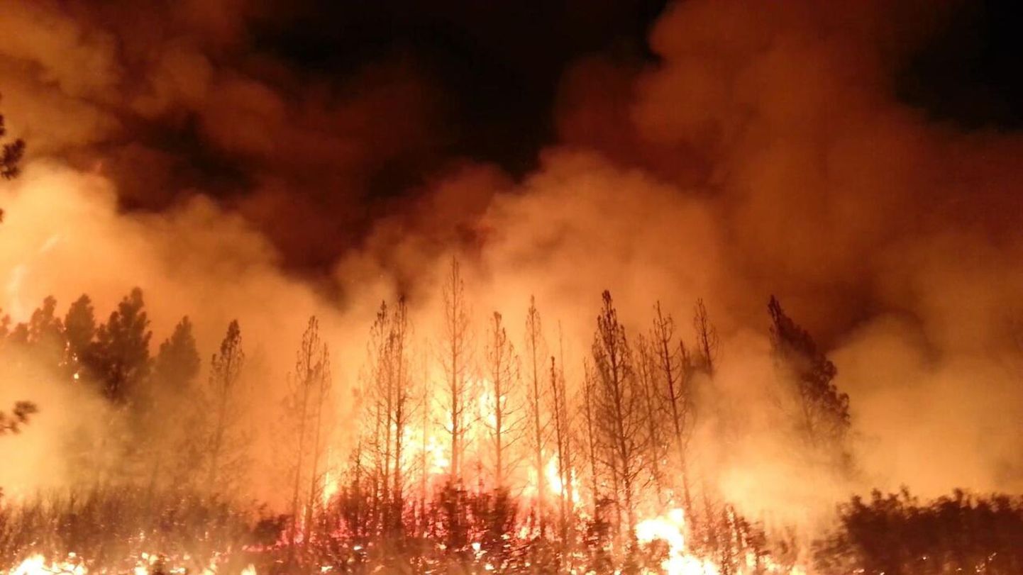 Tulekahju läheneb Yosemite'i rahvuspargile.