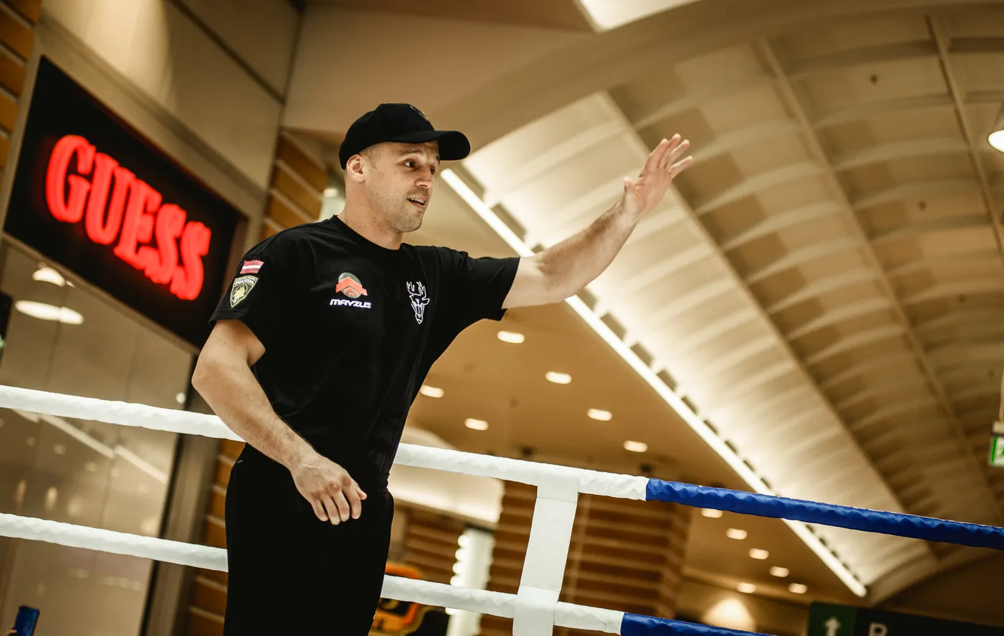 Mairis Briedis