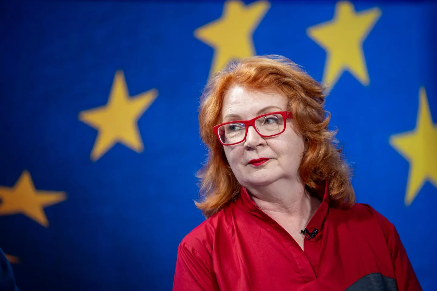 Депутат Европарламента Яна Тоом.
