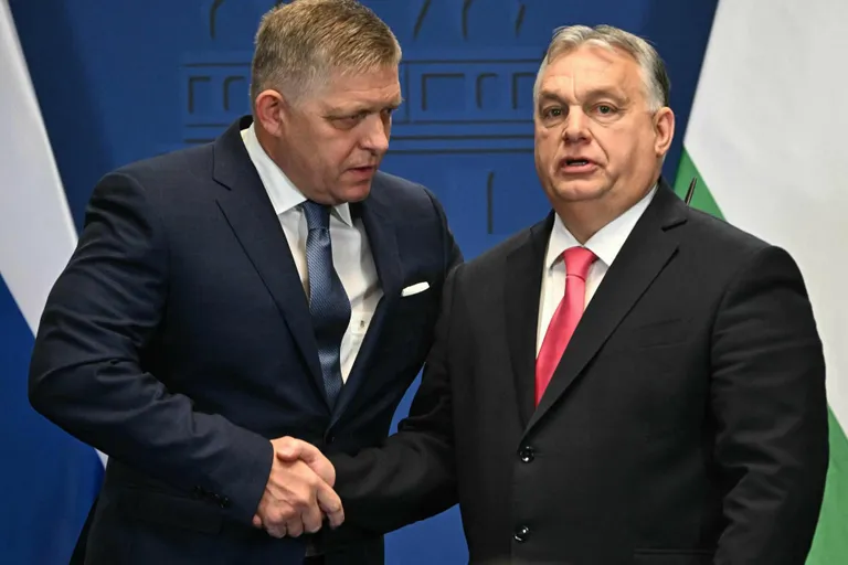 Премьер-министр Словакии Роберт Фицо и его венгерский единомышленник Виктор Орбан, похоже, не учитывают долгосрочные осложнения, которые их политика в отношении Украины может повлечь за собой как для стран Европейского союза, так и для НАТО.