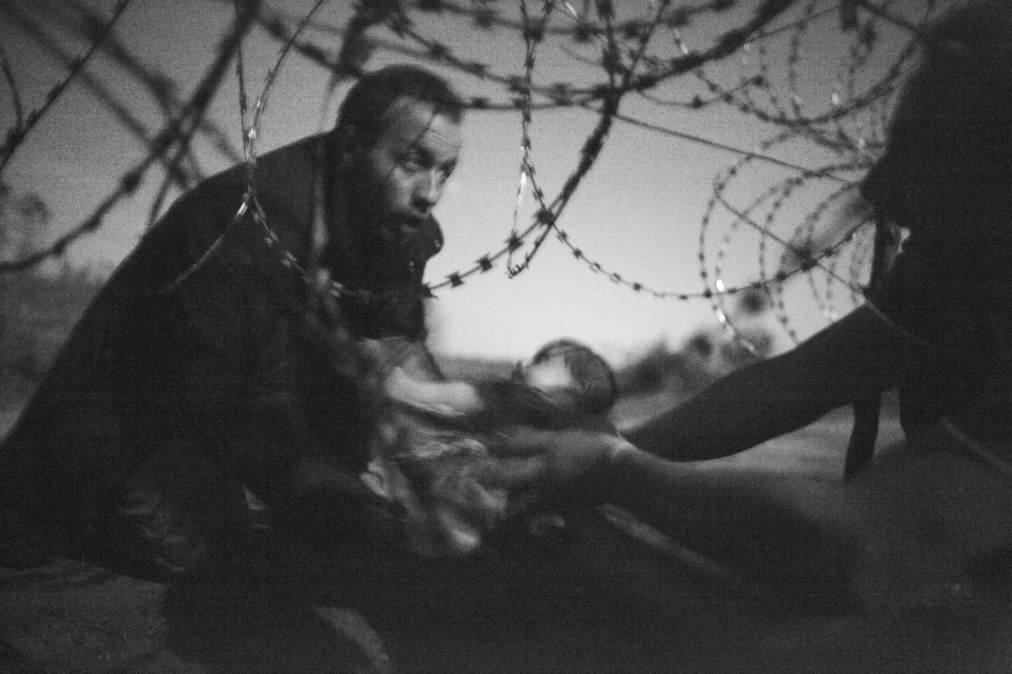 Austraalia fotograafi Warren Richardsoni 2015. aasta maailma pressifoto pealkirjaga «Uue elu lootus».