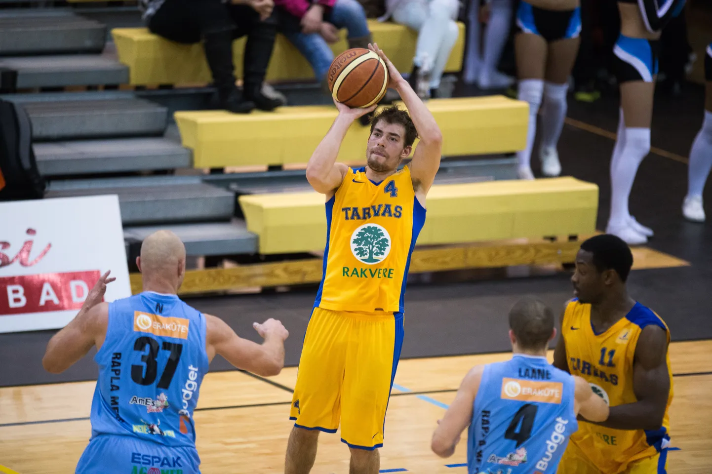 Mario Paiste (palliga).