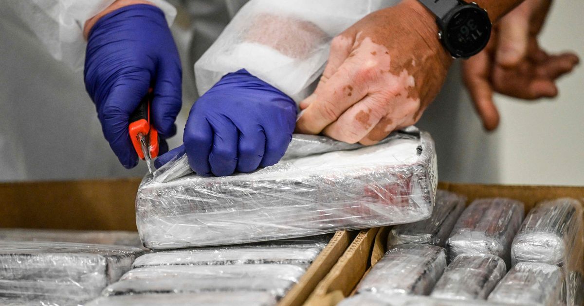 Portugali politsei leidis külmutatud kala sisse peidetuna 1,3 tonni kokaiini