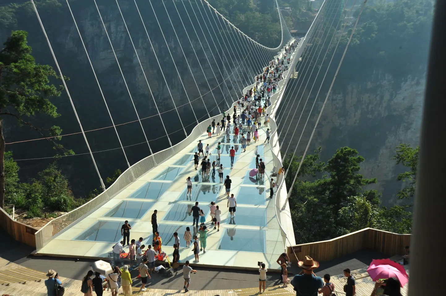 Artikli foto
