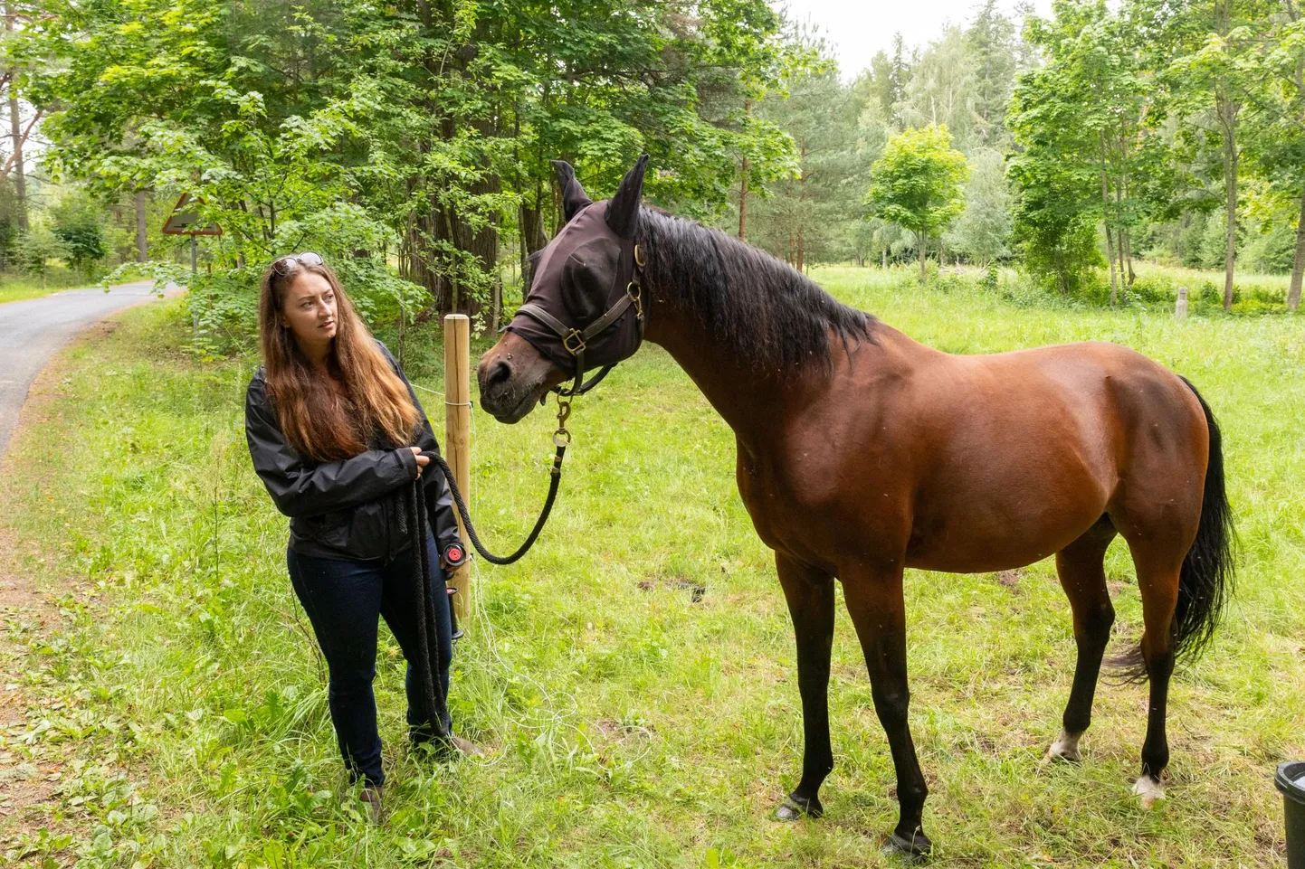 Jacque Baumer hobune Ungaroga Vainupea külas. Võrk hobuse silmadel on kaitseks sääskede vastu.