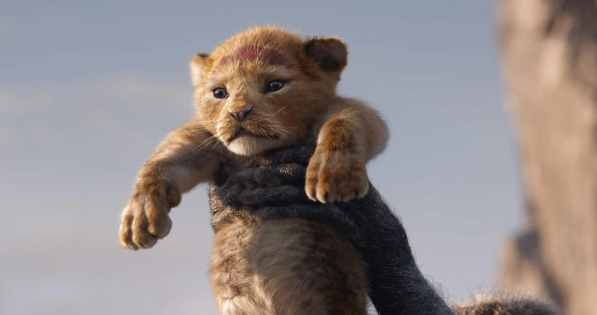 Uusversioonis andis lõvikuningas Simbale hääle Donald Glover.