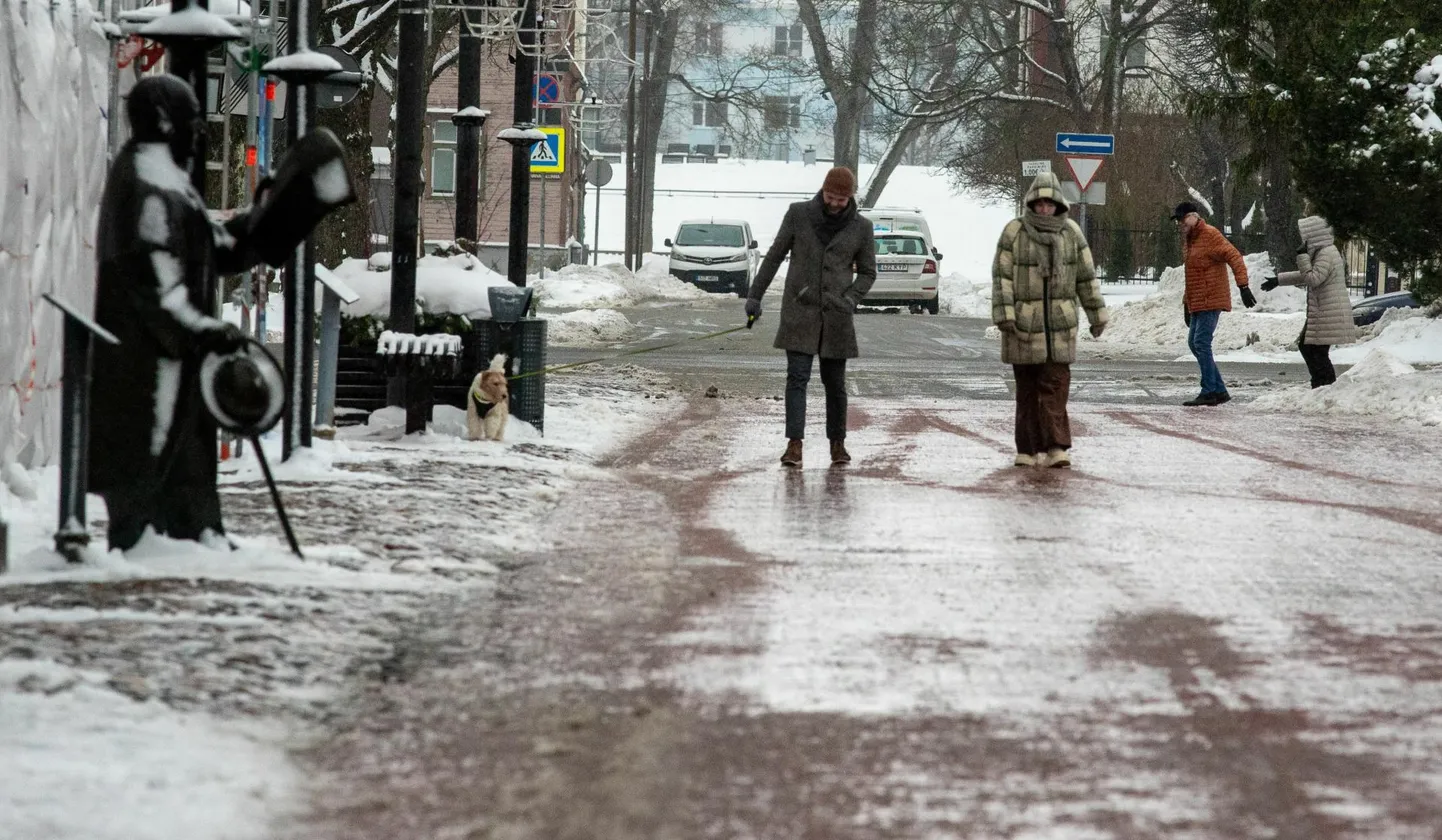 Libedustõrjeks jagab linnavalitsus elanikele graniitkillustikku.