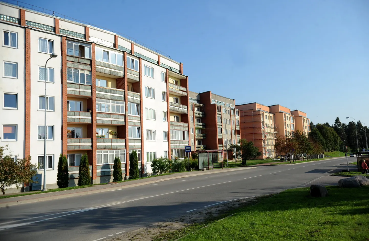 Фото статьи