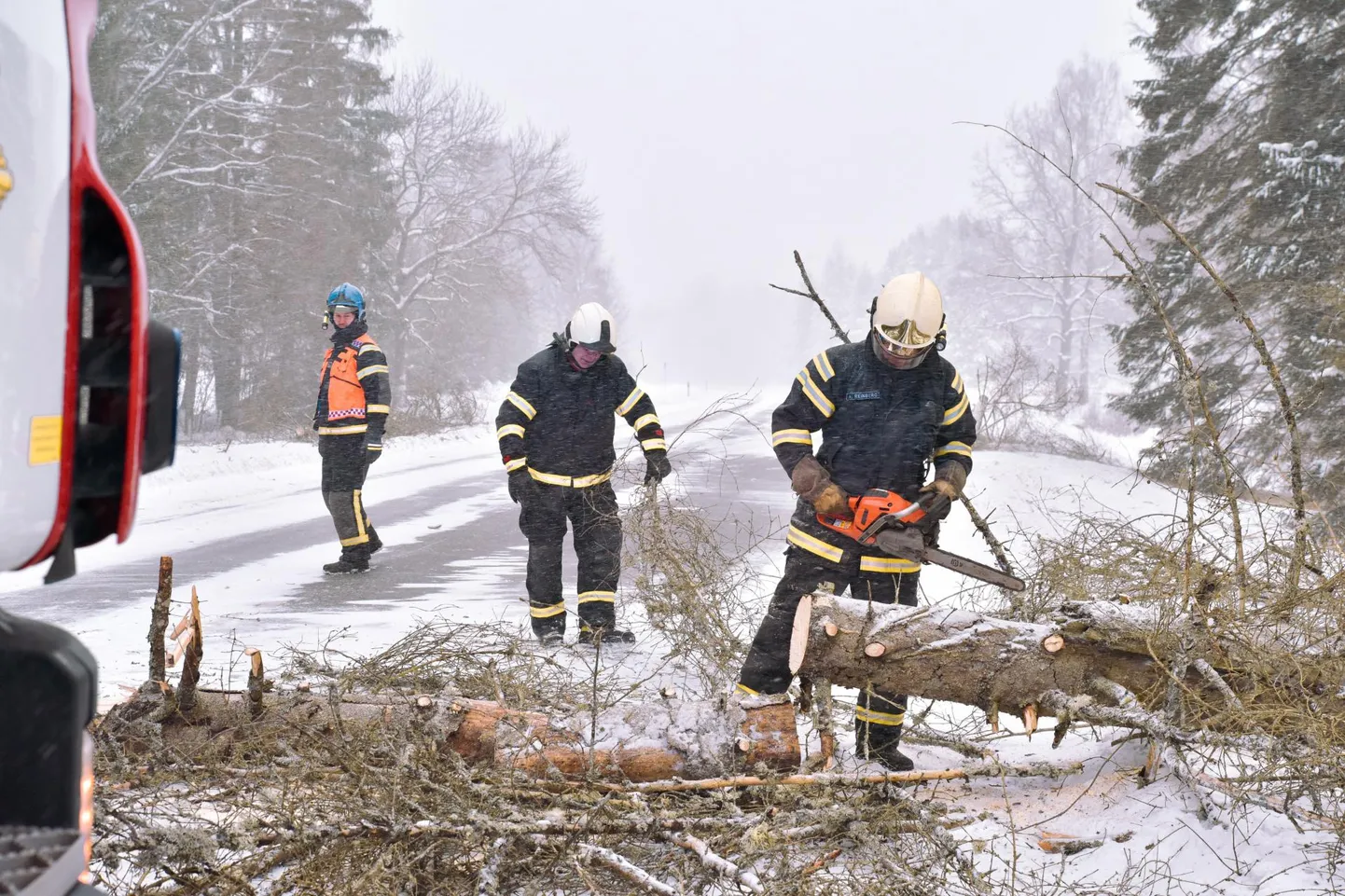 Päästjad tükeldasid teele kukkunud kuuse ning autod pääsesid taas liikuma.