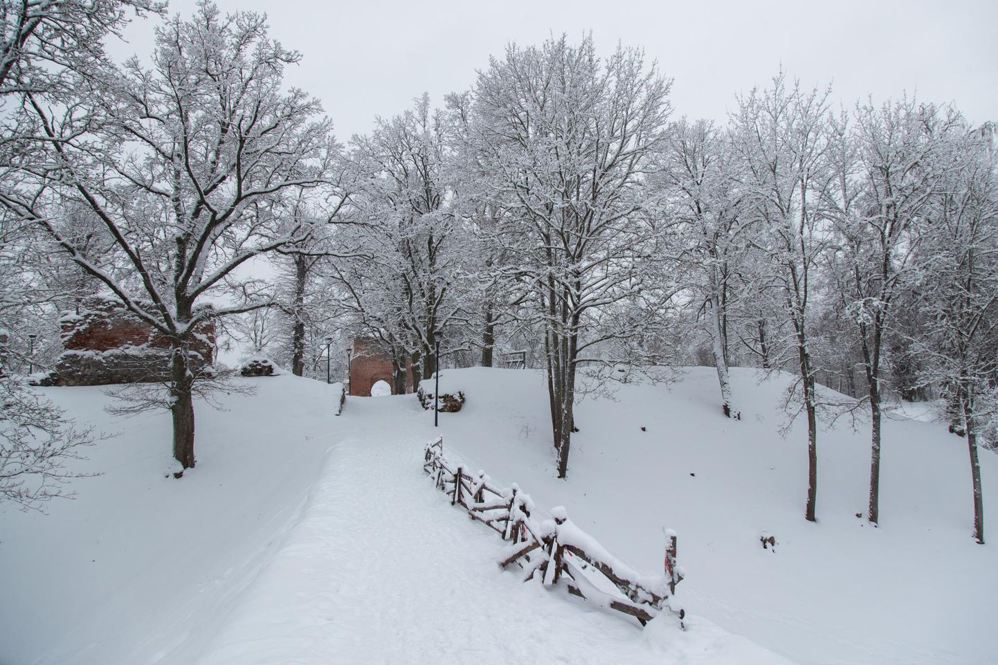 Viljandi Linnahooldus oma masinatega lossimägedesse lund lükkama ei pääse ja omal vastutusel võivad üle varisenud tammi minna ainult jalakäijad.