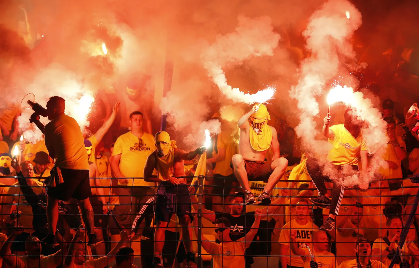 Brondby fännid.