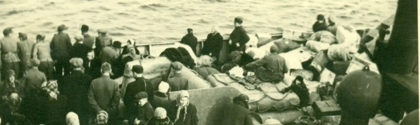 Artikli foto