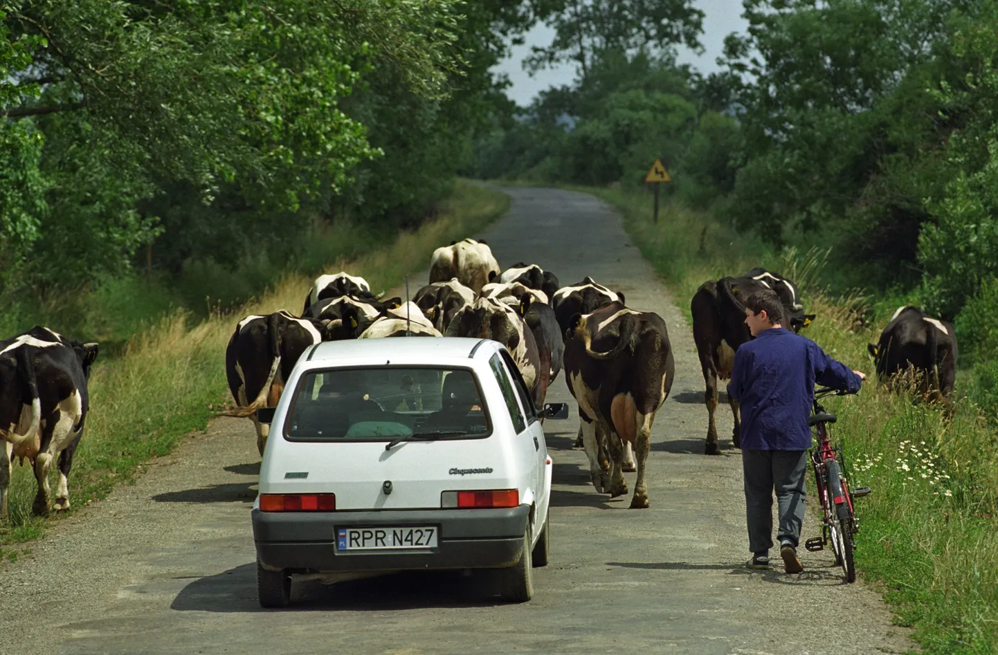 Autosõit.
