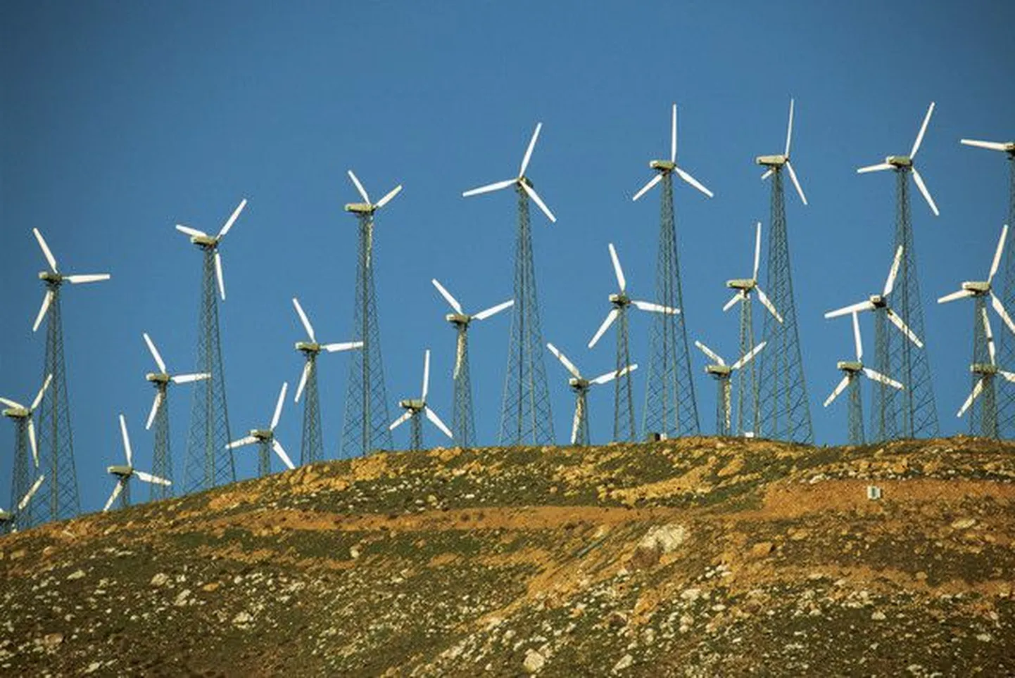Tuuleenergia andis 2013. aastal 46 protsenti taastuvenergia kogutoodangust.