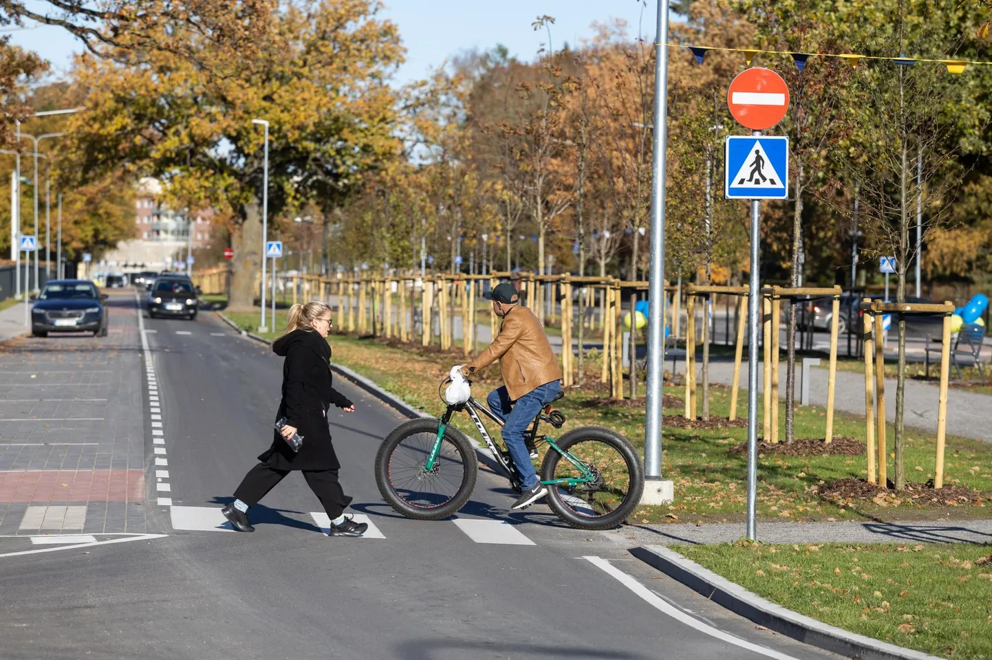 Rakvere Kastani puiestee on pärast renoveerimist täiesti uue ilmega ja suure tõenäosusega muutub lähiajal ka tänava nimi. Uueks nimeks plaanitakse Jaan Poska puiesteed.