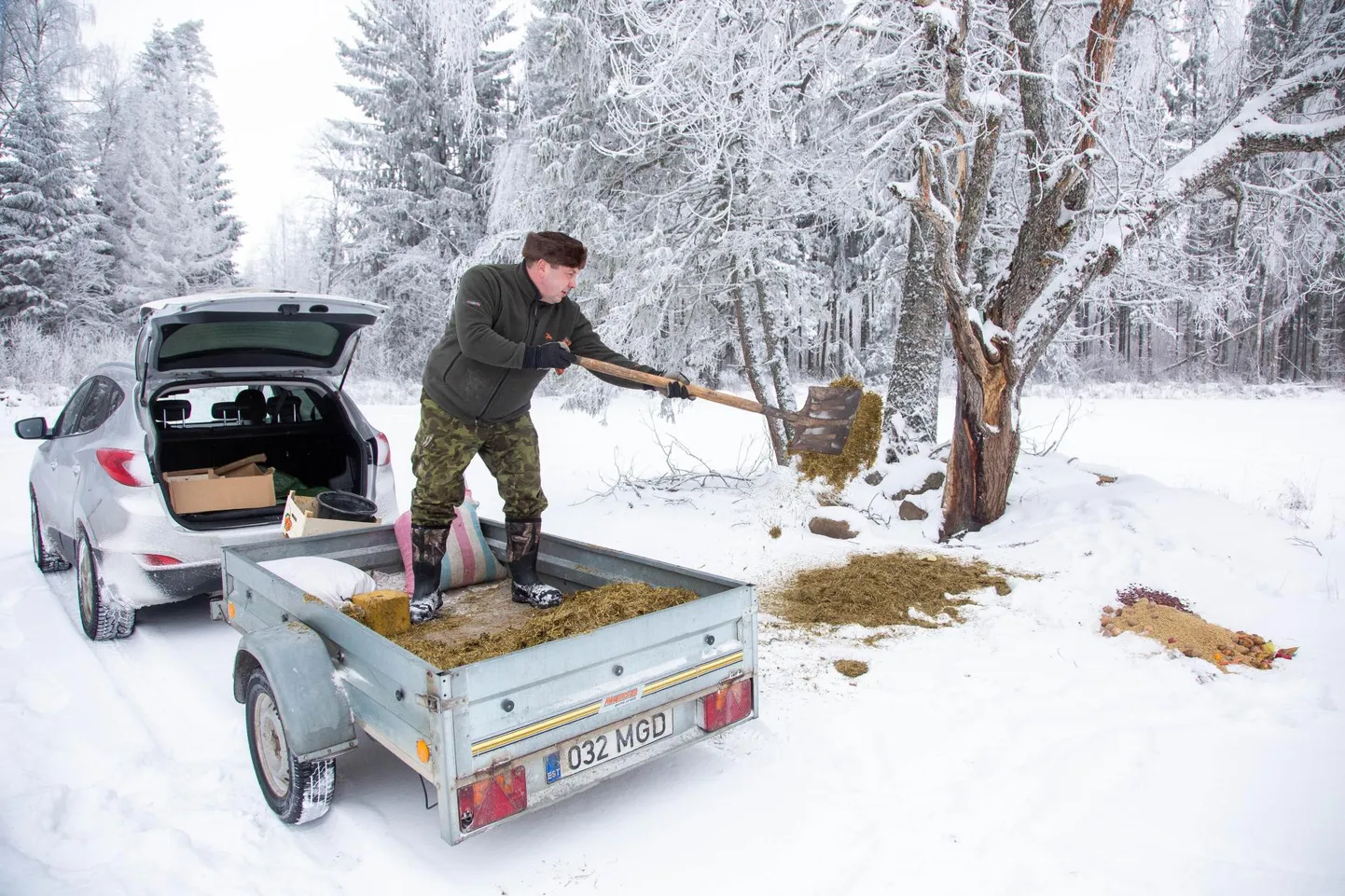 Loomade söödaplatsi täitmine naabermaakonnas: Järva-Jaani Jahiseltsi esimees Margus Vaas viib loomadele metsa head-paremat nosida.