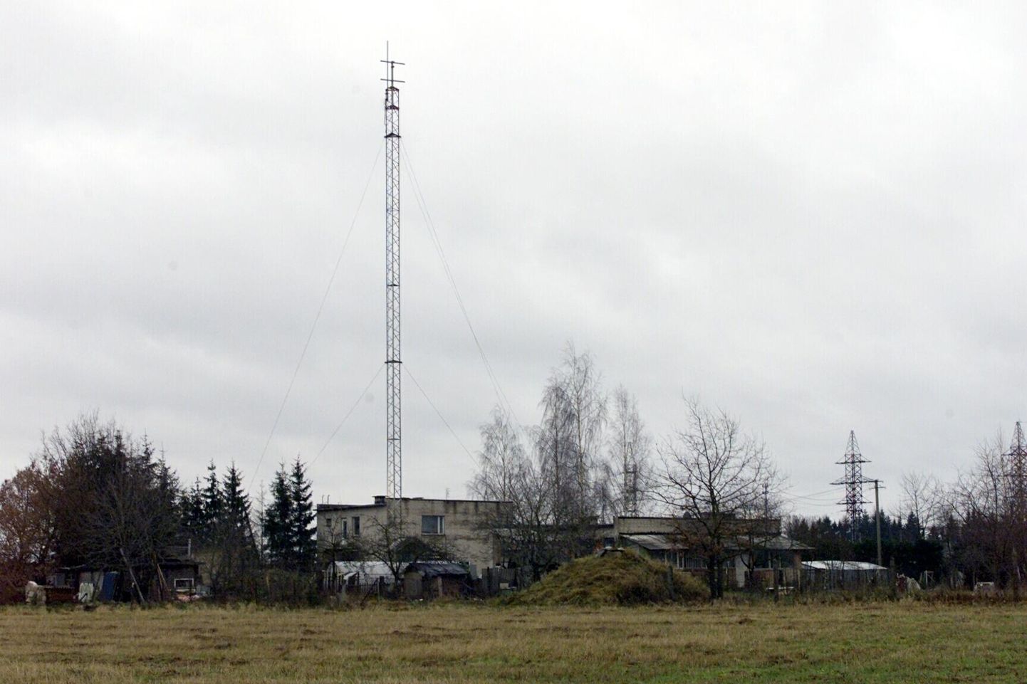 Valdav osa tuhatkonnast Eestis kõrguvast mastist on mobiilsideoperaatorite endi maa peal. Live Nature on omandanud 65 mastialust kinnistut, paar-kolmsada on eraomanike käes.