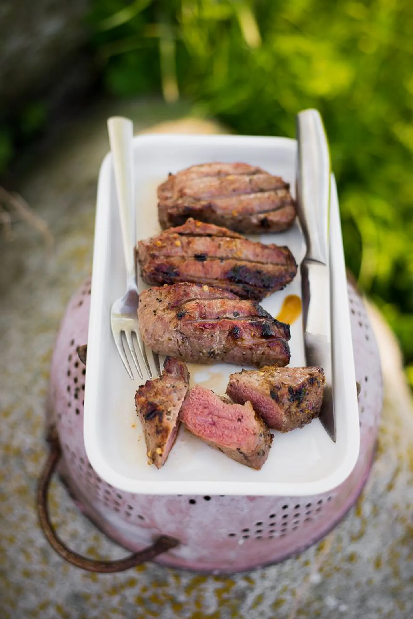 Grillitud metssea välisfilee.