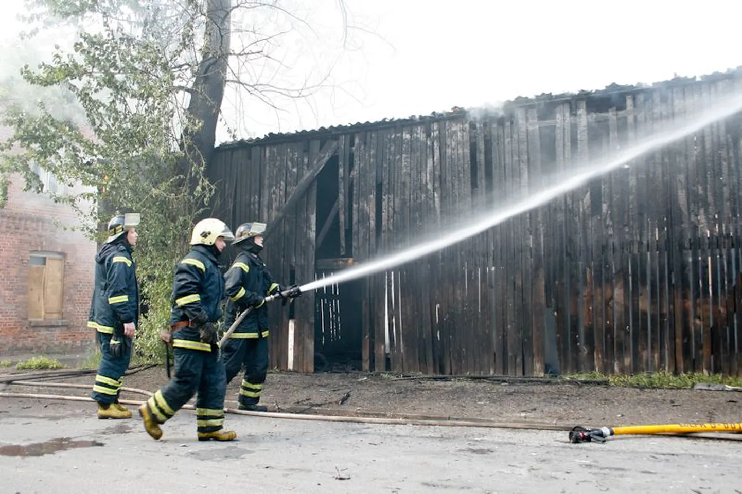 Puukuuri põleng.  Pilt on illustreeriv.