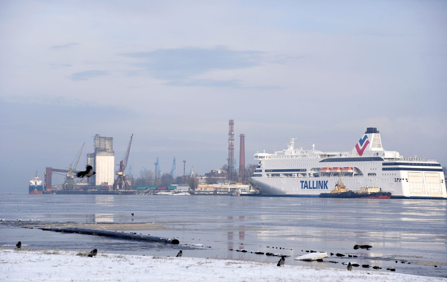 Skats uz ostu un prāmi "Tallink" no Pārdaugavas; ilustratīvs foto.