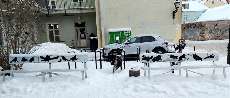 Kaks parempoolset pinki linnaraamatukogu peaukse ees.