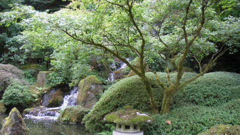 Jaapani aia kujundamine nõuab eelteadmisi