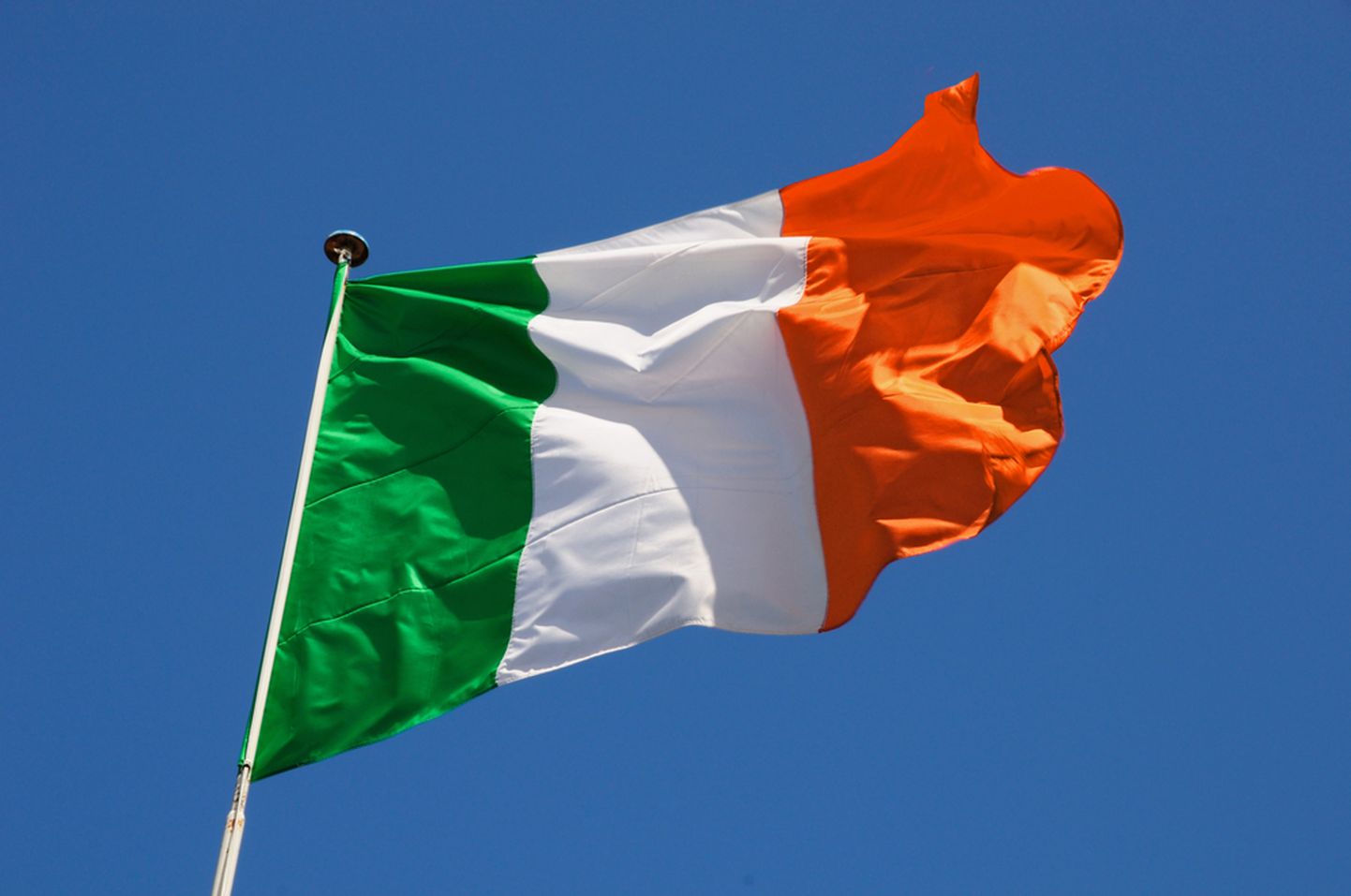 Īrijas karogs.