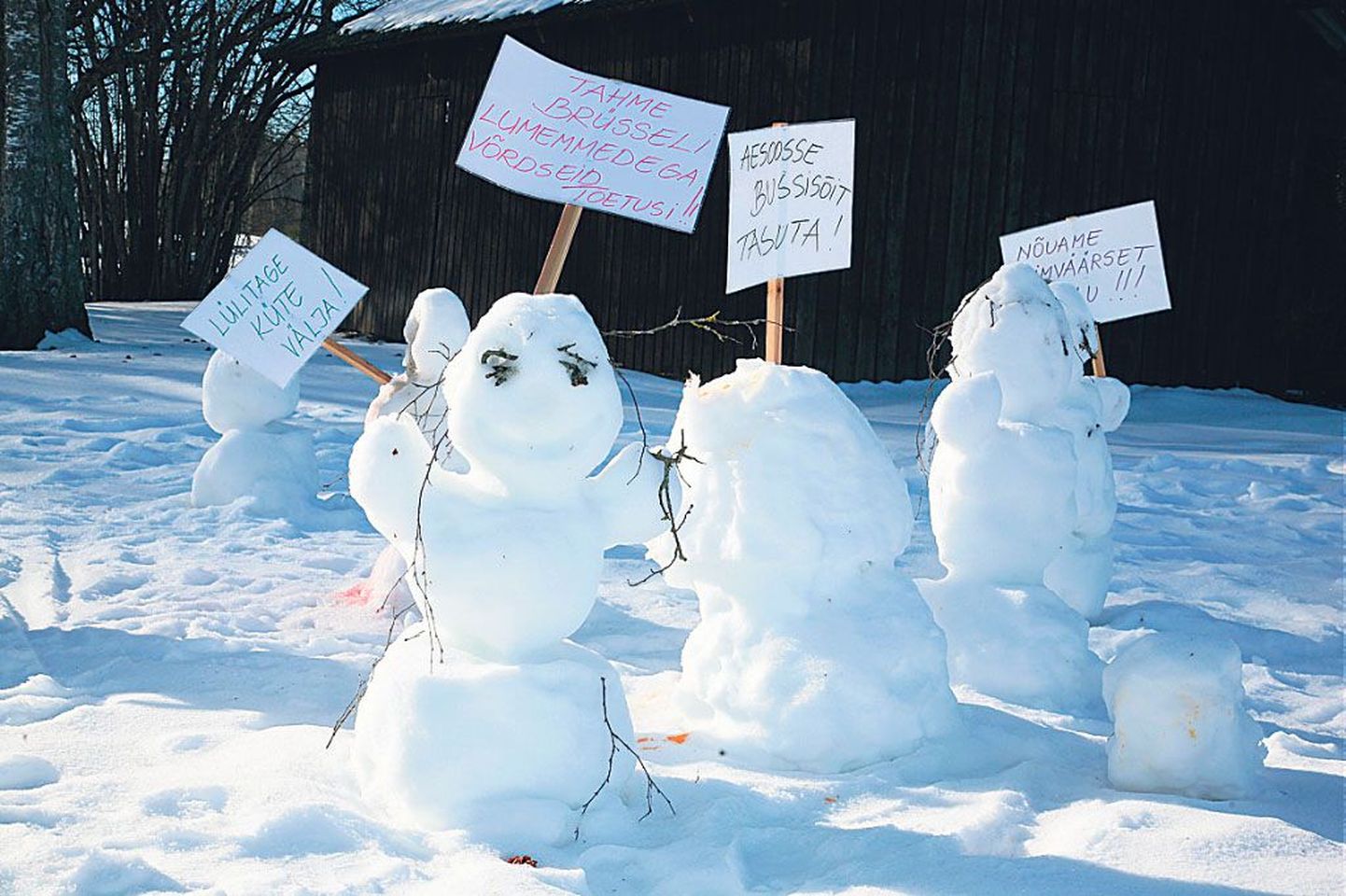 Külavahel nagu kõrge mäe otsas lossi ees: Viiralinna lumememmed nõuavad oma õigusi.