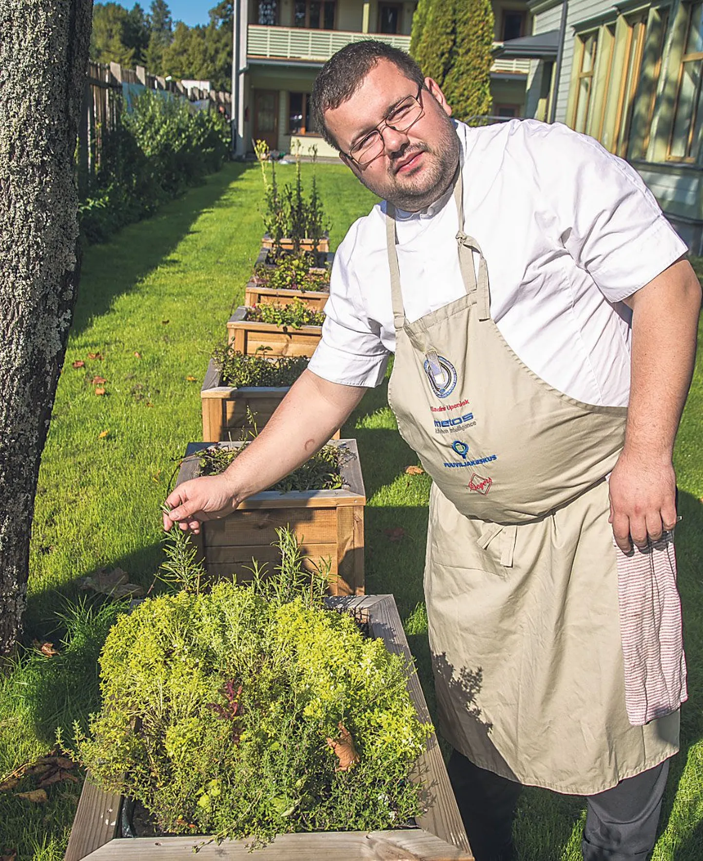 Peakoka peenraaias kasvavad lehtpeet, tüümian, basiilik, rosmariin, palju piparmünti, kurgirohi, apteegitill, rukki- ja saialilled ja palju muud rohelist, mida Vladimir Upeniek meelsasti toitude maitsestamiseks või kaunistamiseks tarvitab.